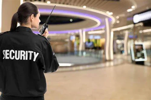 Professional Security Services for Businesses