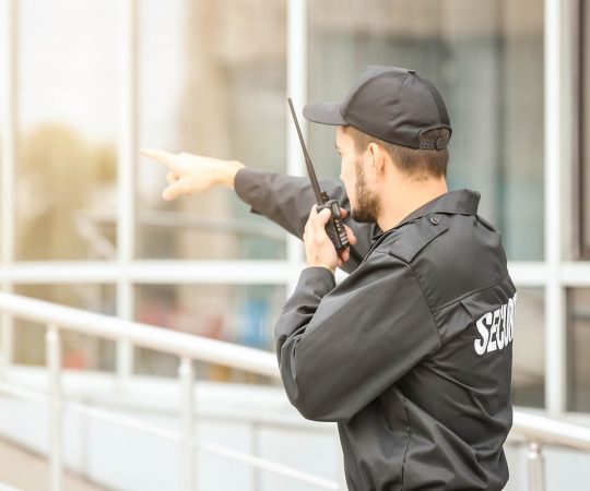 Manned Guarding Services London